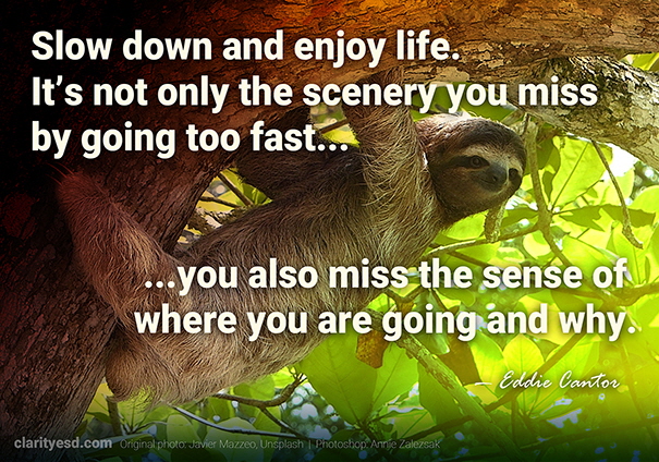 Slow down and enjoy life. It’s not only the scenery you miss by going too fast – you also miss the sense of where you are going and why.