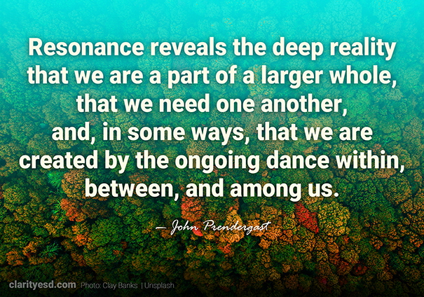 Resonance reveals the deep reality that we are a part of a larger whole, that we need one another, and, in some ways, that we are created by the ongoing dance within, between, and among us.