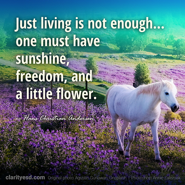Just living is not enough… one must have sunshine, freedom, and a little flower.