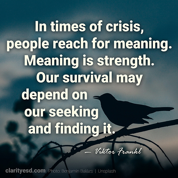 In times of crisis, people reach for meaning. Meaning is strength. Our survival may depend on our seeking and finding it.