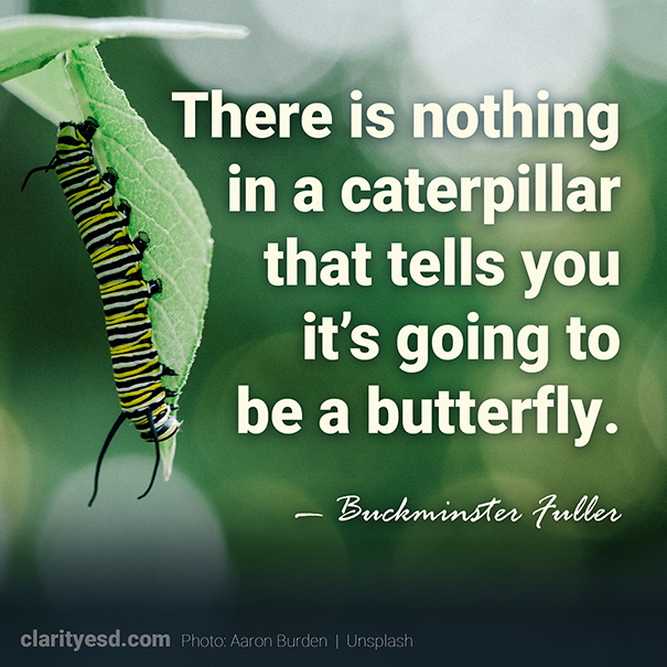 There is nothing in a caterpillar that tells you it's going to be a butterfly.