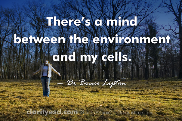 There's a mind between the environment and my cells.