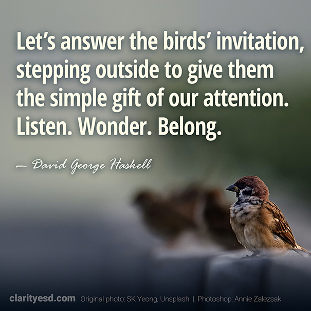 Let's answer the birds' invitation, stepping outside to give them the simple gift of our attention. Listen. Wonder. Belong.