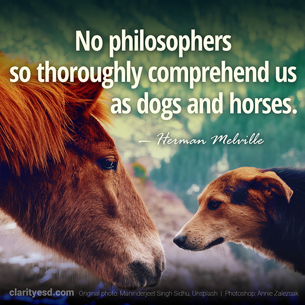 No philosophers so thoroughly comprehend us as dogs and horses.