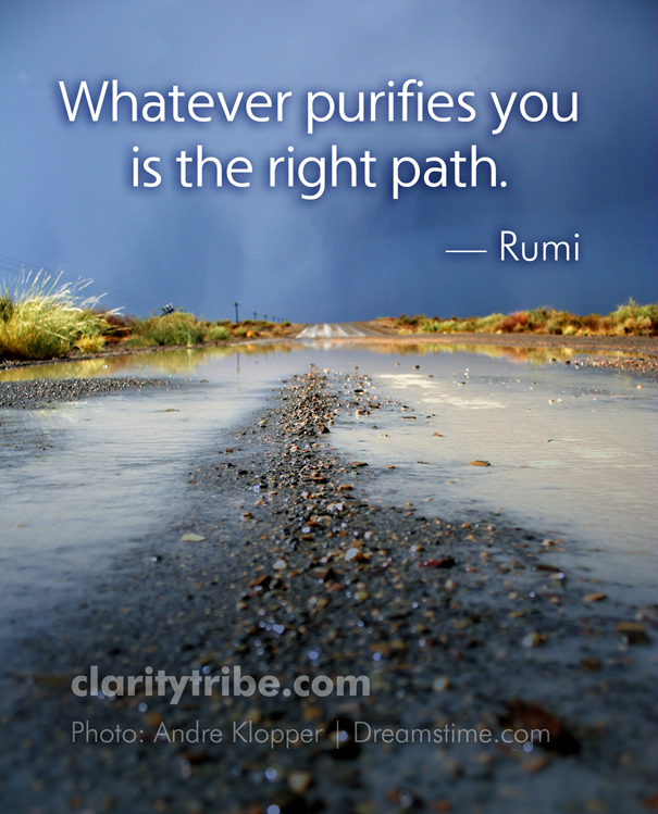 Whatever purifies you is the right path. - Rumi