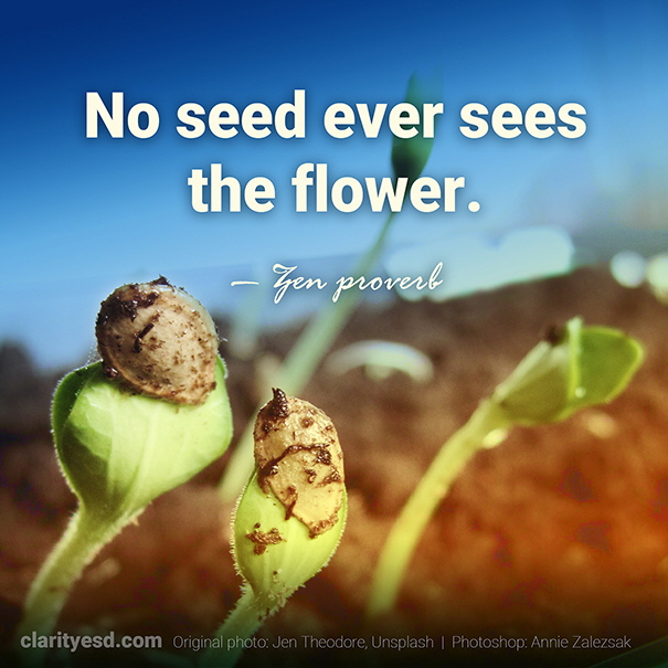 No seed ever sees the flower.