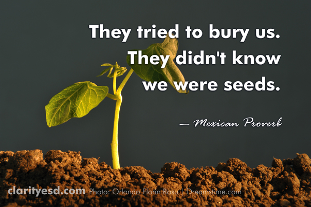 They tried to bury us. They didn't know we were seeds.
