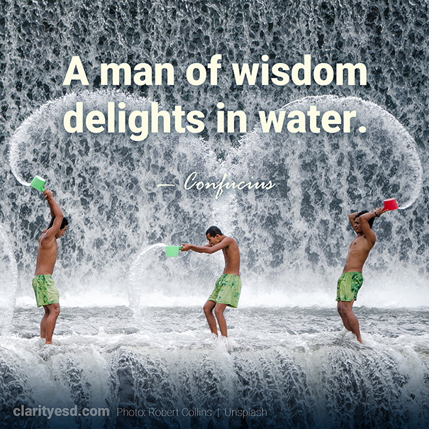 A man of wisdom delights in water.